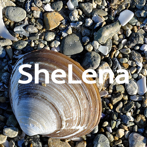 SheLena