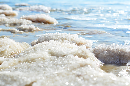 写真：海の塩